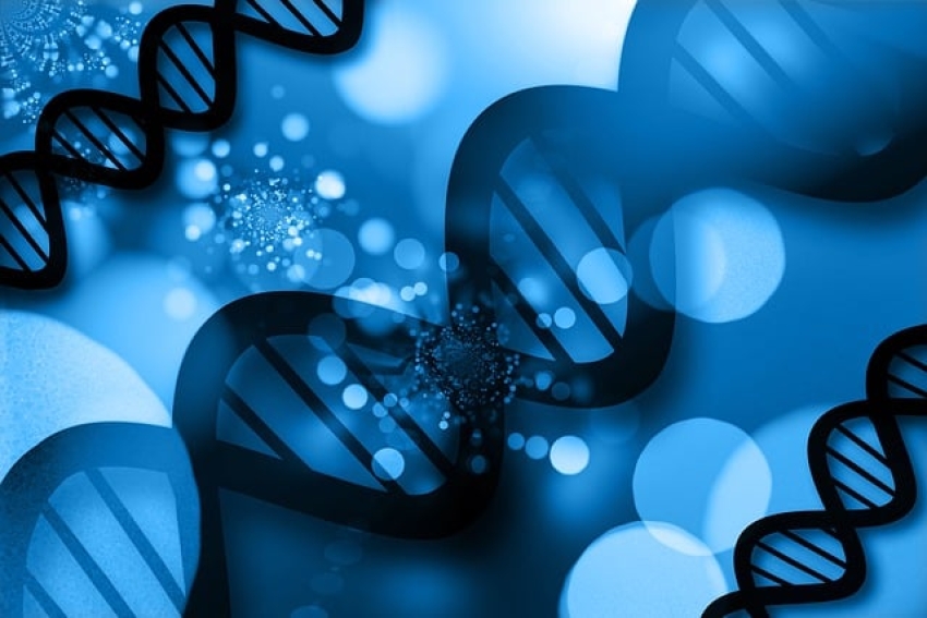 全球CAR-T細胞產業之發展概況